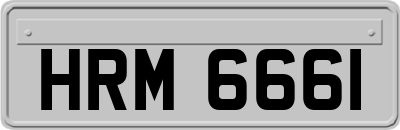 HRM6661