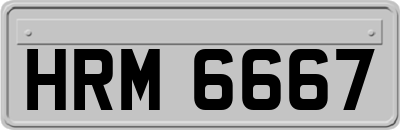 HRM6667
