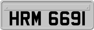 HRM6691