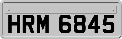 HRM6845
