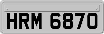 HRM6870