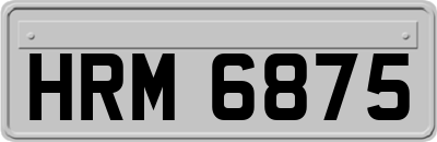 HRM6875