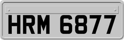 HRM6877