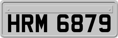 HRM6879