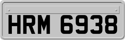 HRM6938