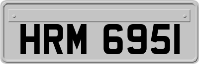HRM6951