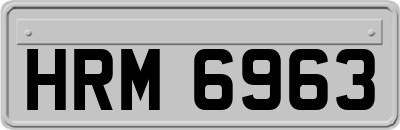 HRM6963