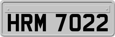 HRM7022