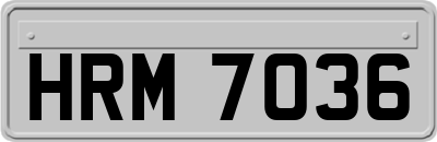 HRM7036