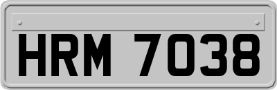 HRM7038