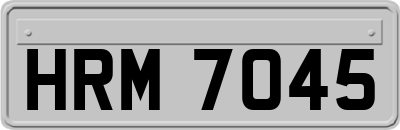 HRM7045