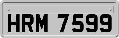 HRM7599