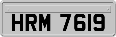 HRM7619