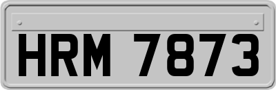 HRM7873