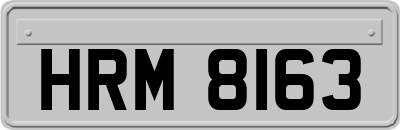 HRM8163