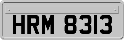 HRM8313