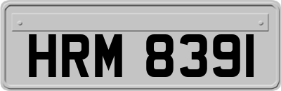 HRM8391