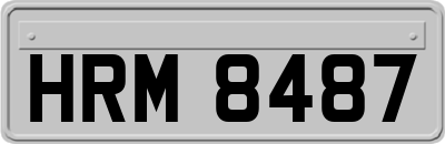 HRM8487