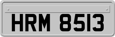 HRM8513