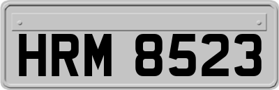 HRM8523