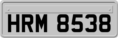 HRM8538