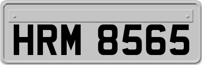 HRM8565