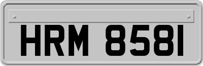 HRM8581