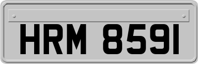 HRM8591