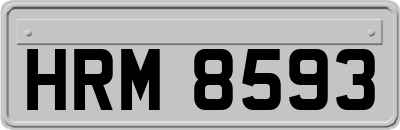 HRM8593