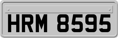 HRM8595