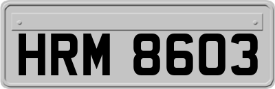 HRM8603