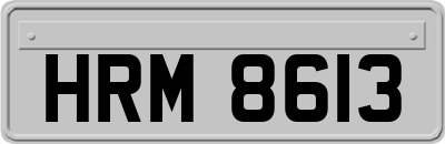HRM8613