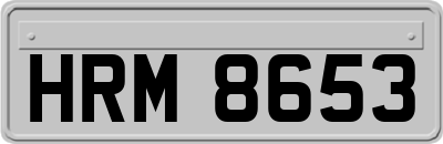 HRM8653