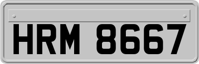 HRM8667