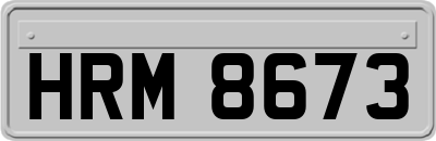 HRM8673