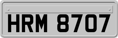 HRM8707