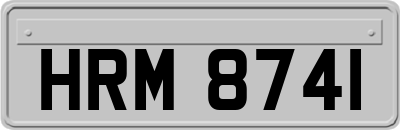 HRM8741