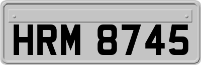 HRM8745