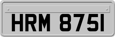 HRM8751