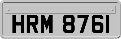 HRM8761