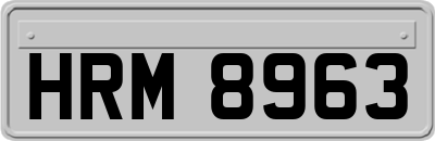 HRM8963