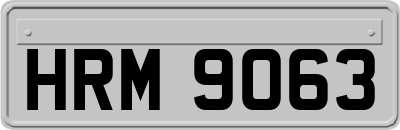 HRM9063