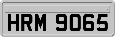 HRM9065