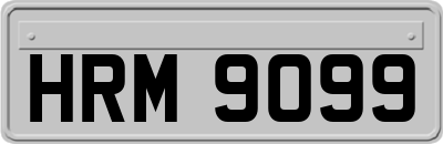 HRM9099