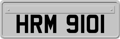 HRM9101