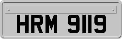 HRM9119