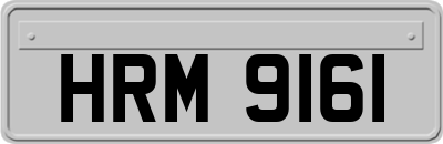 HRM9161