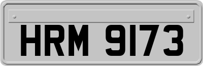 HRM9173