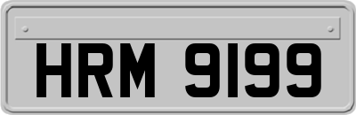 HRM9199