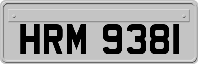 HRM9381